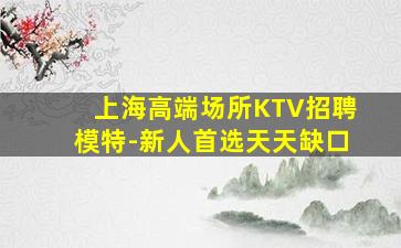 上海高端场所KTV招聘模特-新人首选天天缺口