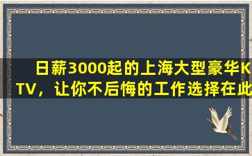 日薪3000起的上海大型豪华KTV，让你不后悔的工作选择在此