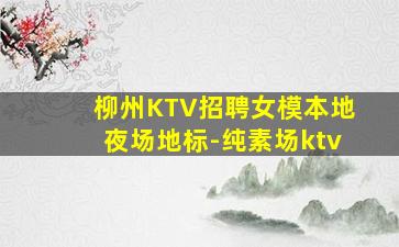 柳州KTV招聘女模本地夜场地标-纯素场ktv